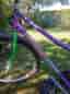 Damcykel Powerbike