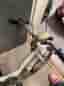 Avenue barncykel 14" vit
