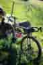 Specialized Crux Expert 2025