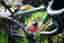 Specialized Crux Expert 2025