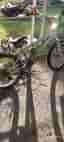 Mongoose BMX