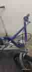 Mongoose BMX