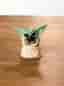 6 figurer: STAR WARS The Bounty Collection The Child Baby Yoda