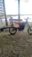 79Bike Falcon Pro *Surron*