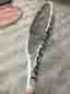 2 st Tecnifibre tennisracket vit
