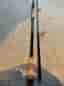 Daiwa Prorex XR Lazy Pike 50-120g haspel (NYTT)