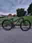 NS bikes zircus 24 ge bud