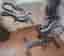 Keiser M3 / Spinning / Proffs / Display /
