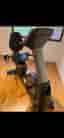 Gymleco 7230 liggande motionscykel svart