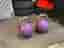 Kettlebells 20 kg lila (2 st)