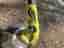 Ryobi 18V grästrimmer