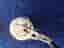 Shimano ocea Calcutta 301hg