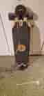 Longboard Loaded Icarus