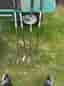 TaylorMade RBZ järnklubbor golfset DAM