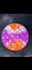 Popit