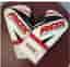 RDX F10 5ft Training Punch Bag with gloves - Boxningsset med boxningshandskar