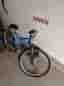 Monark
