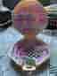 Polly Pocket Bluebird kompakt lekset gul/rosa