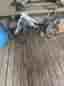 Crescent barncykel 24" vit/svart