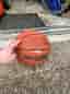 Spalding basketboll orange