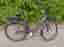 Crescent Elina Svart 2024