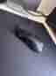 SteelSeries Rival gamingmus svart med kabel