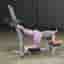 Body Solid - PGM200X / Glute Max