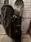 Burton snowboard med Head boots stl 42,5