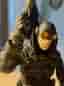 Lobster Johnson figur från Mike Mignolas Hellboy Serier, av Mezco