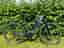 TREK allant+ 6 stagger