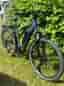 TREK allant+ 6 stagger