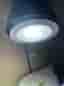 Nelson Garden växtbelysning LED-lampa E27 18W