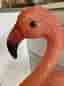 Flamingolampa trädgårdsbelysning