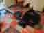 Roddmaskin Casall R300