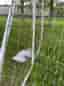 2 stora Fotbollsmål med nät Revolution Met Goal H180
