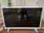 Philips 24PFS5531/12 24" LED-TV vit