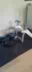 Tacx cykeltrainer Flow Smart