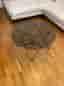 Runt soffbord 80 cm Mio