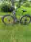 Surly Ogre 29”