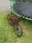 Scott speedster 20 large