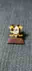 Walt Disney Mighty Ducks Pin