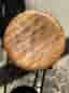 Pall tre ben