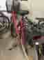 Dam cykel Viking Trend