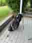 Ogio golfbag med ställ och järnklubbor