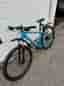 Crescent mountainbike 29" ram L unisex blå