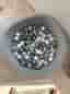 Bollhav