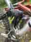 Lapierre Zesty TR 3.9