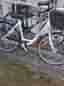 Yosemite damcykel vit