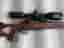 Sauer 101 GTI (.308 Win) /Tikka T1x (.22 LR)
