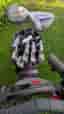 Wilson Deep Red 3 Golfset inkl bag och vagn